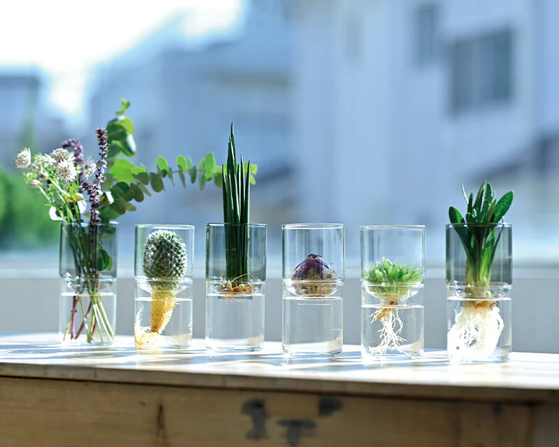 Hario glass flower hydroponisk vase - Image 5
