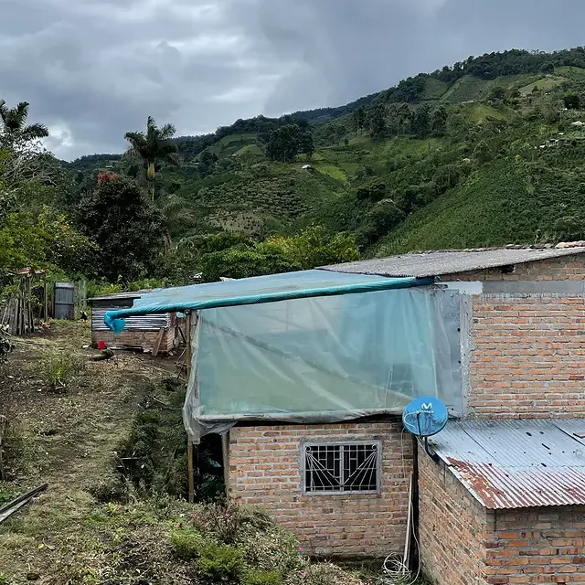 Kaffebønner Colombia La Serrania Dekaffeinert 250g - Image 4